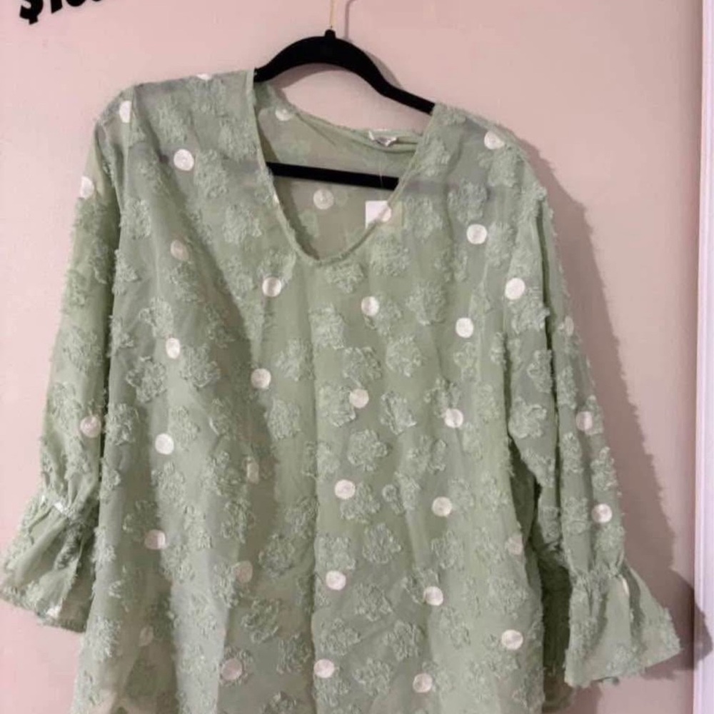 Cato Light Green Textured Blouse
